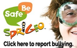 Report bullying on Sprigeo